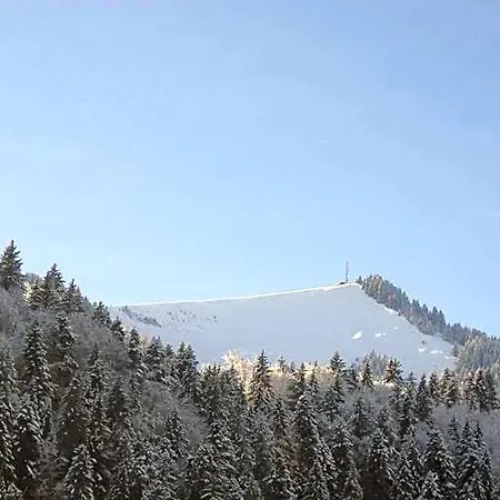 Le Mont Jorat * Abondance